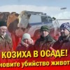 БУРЁНКУ СВОЮ НЕ ОТДАМ НИКОМУ!