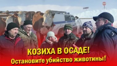 БУРЁНКУ СВОЮ НЕ ОТДАМ НИКОМУ!