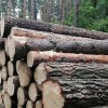 ДАЖЕ ЗДОРОВЫЙ АВАНТЮРИЗМ ОСТАЁТСЯ АВАНТЮРИЗМОМ