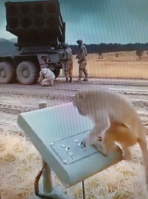 МАРТЫШКИН ТРУД