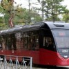 МЫ ЖИВЁМ В КРАЮ СИБИРСКОМ…