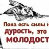 И ВНОВЬ — ПОРЫВЫ ЮНЫХ ЛЕТ…