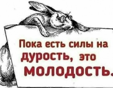 И ВНОВЬ — ПОРЫВЫ ЮНЫХ ЛЕТ…