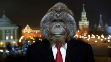 ПЕРЕБОРЩИЛИ... ПЕРЕБОРЩИЛИ...